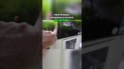 Przezroczysty silikon Różnica między Guardian a Floatem!