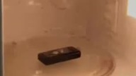 Telefon w mikrofalówce