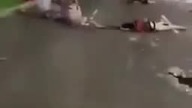 Nicea, Francja, zamach terrorystyczny