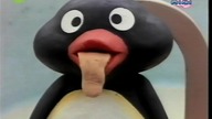 Pingu - Odcinek 01 - Pierwsze Spotkanie (MiniMini)