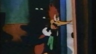 Woody Woodpecker: Popłoch w spiżarni (1941)