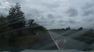 Wypadek tym razem nie Rosja 