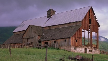 Szybka.  ucieczka.  1991.  Lektor.pl