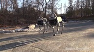 Nowy model robota kroczącego od Google
