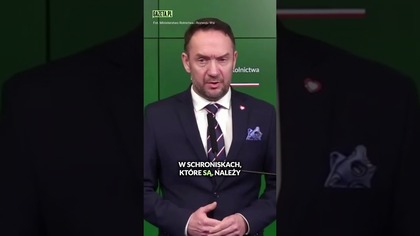 Mówimy stanowcze nie dla patoschronisk #shorts