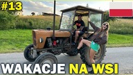 Rolnik szuka żony (wakacje u babci na wsi)