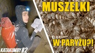 O zatoce paryskiej i jej skamieniałych mieszkańcach - Katakumby#2