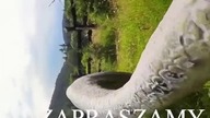 Geologiczne Muzeum Ziemi w Kletnie  #shortsvideo #kletno #wakacje #przygoda #wycieczka #shorts