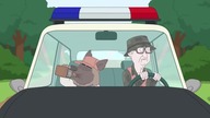 Paradise PD - Indyk