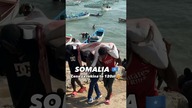SOMALIA - rekin za 120zł  #shorts