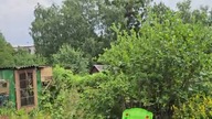 Zawsze się jakaś ***** rozpruje  powrót zaginionych młodych