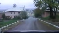 Dzik jest dziki dzik jest zły