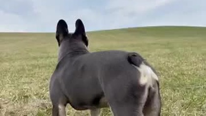 Częściowe zestawienie roku 2025.