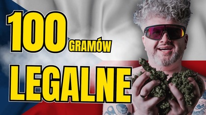 100 GRAMÓW NA UŻYTEK WŁASNY LEGALNE (Czechy, Tajlandia, Tusk, Depenalizacja, Berlin)
