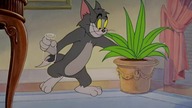 Tom. and. Jerry. E30. Dr. Jekyll. and. Mr. Mouse. 720p. BrRip. x265. HEVC-PSA