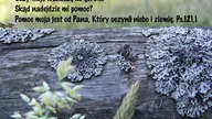 świadectwo Ireny Z