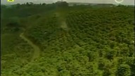 195 - Kiedy będziesz moją