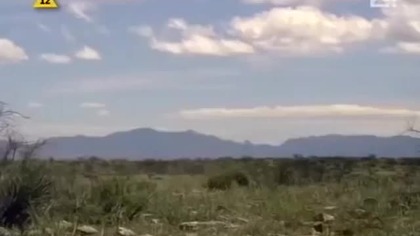 Cud Sage Creek mp4, lektor