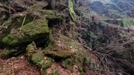 Jaskinia Kontaktowa powstała na kontakcie soczewy marmuru i łupków łyszczykowych #geology