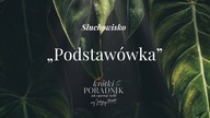Słuchowisko #31 | Podstawówka | Krótki poradnik jak ogarnąć życie [PODCAST]