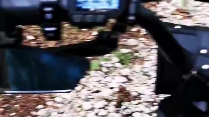 Rowerem na grzyby  #shorts #short #dlaciebie #shortvideo