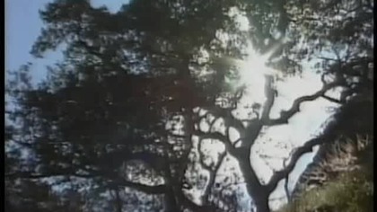 Esmeralda odcinek 105