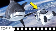 7 najlepszych filmów o... REKINACH