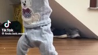 #shorts