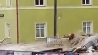 Prognozy nie są przesadnie alarmujące mp4 686x432