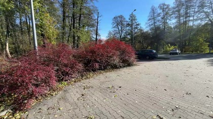 Biedronka, Zbrosławice, Katowice, Śląsk, Górny, Polska