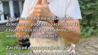 Uspokój swojego psa na spacerach!  #Pies #WychowaniePsa #TreningPsów