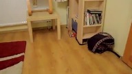 Kot w półce
