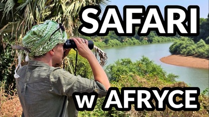 Ile kosztuje safari w Afryce? Park Narodowy Niokolo Koba w Senegalu