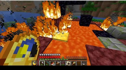 Of course, of all the blocks this parrot could have chosen, it chose the one that killed it #Game