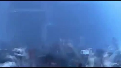 Cypis - Bąbolada