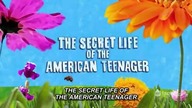 Tajemnica Amy S02E12 Be My Be My Baby (Bądź m&oacute;j, Bądź moim dzieckiem) (The secret life of the