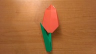 ORIGAMI - TULIPAN  3D