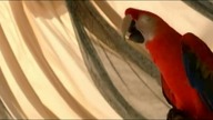 Wu-Tang Clan - Gravel Pit (Official Video)