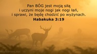 Janek Pajor - Czy znasz ty Jezusa