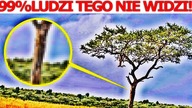99% OSÓB NIE WIDZI TEGO NA PIERWSZY RZUT OKA!!