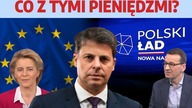 Miliardy zablokowane! PiS cofa się przed UE? Nowy Ład może nie wypalić | prof.  M.  Piotrowski