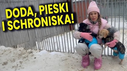 Doda Robi Porządek ze Schroniskami! Od Lat Nikomu Się Nie Udało A Próbowało Wielu! - Analiza Ator