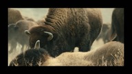 CZTERY dolary za sk&oacute;rę ...  english subtitles ...