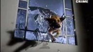 Komisarz Rex S04E10 (Niebezpieczna namiętność)