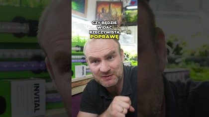 Oświetlenie LED do pokrywy  Invital 