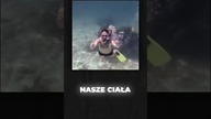 Co by się stało GDYBY ŚWIAT STRACIŁ TLEN NA 5 SEKUND? #shorts #viral #ciekawostka