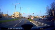 Kiedy gołąb lepiej zna przepisy drogowe od Ciebie