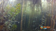 Wyprawa na jesiotry i dinozaury - jezioro Płotki - Best Divers