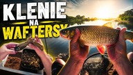 Z PELLETEM nad RZEKE - KLENIE na WAFTERSY !!!