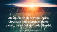 Audycja Wyzwolony Herbie Shreve